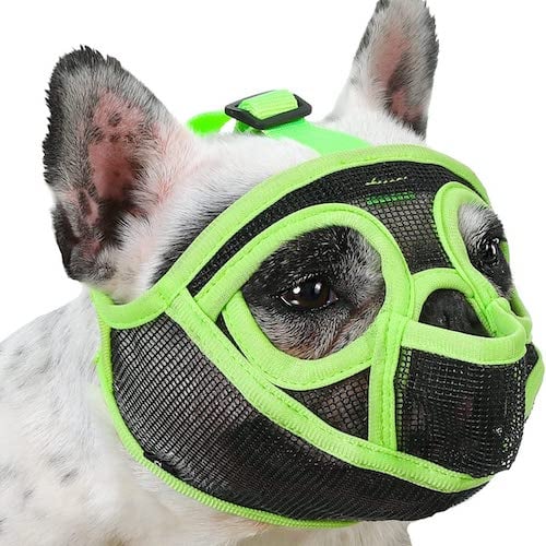 Best muzzle for short snout outlet dogs